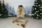 Preview: Twin Set Harmonie Öko Lammfell Beige Coloure